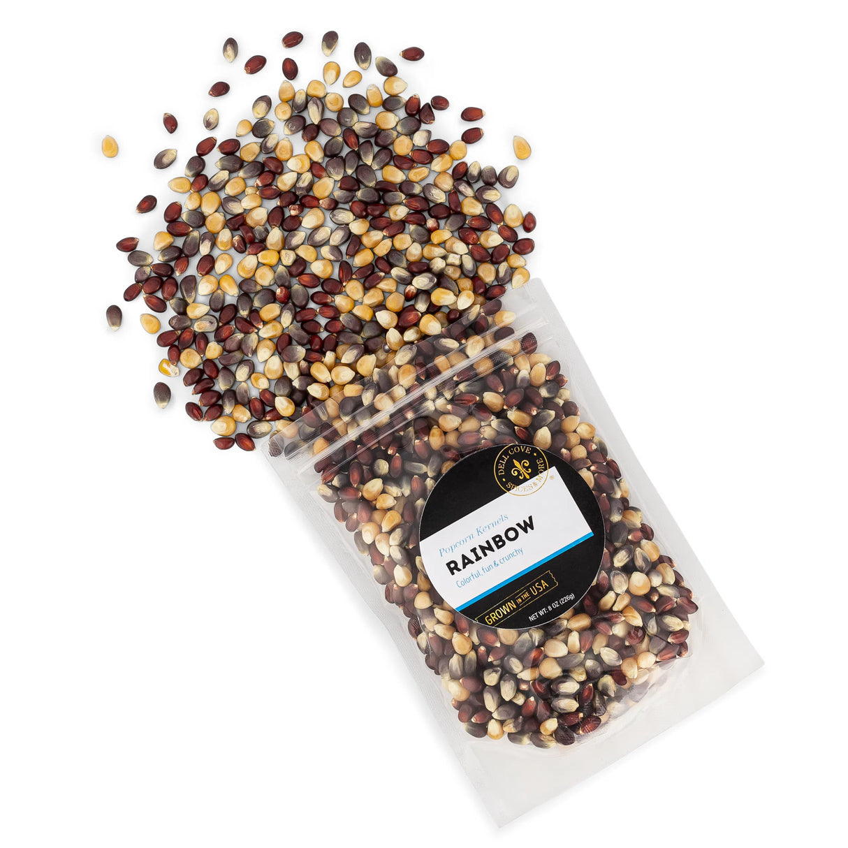 Rainbow Popcorn - Multi Colored Popcorn Kernels: 8 Oz. Bag